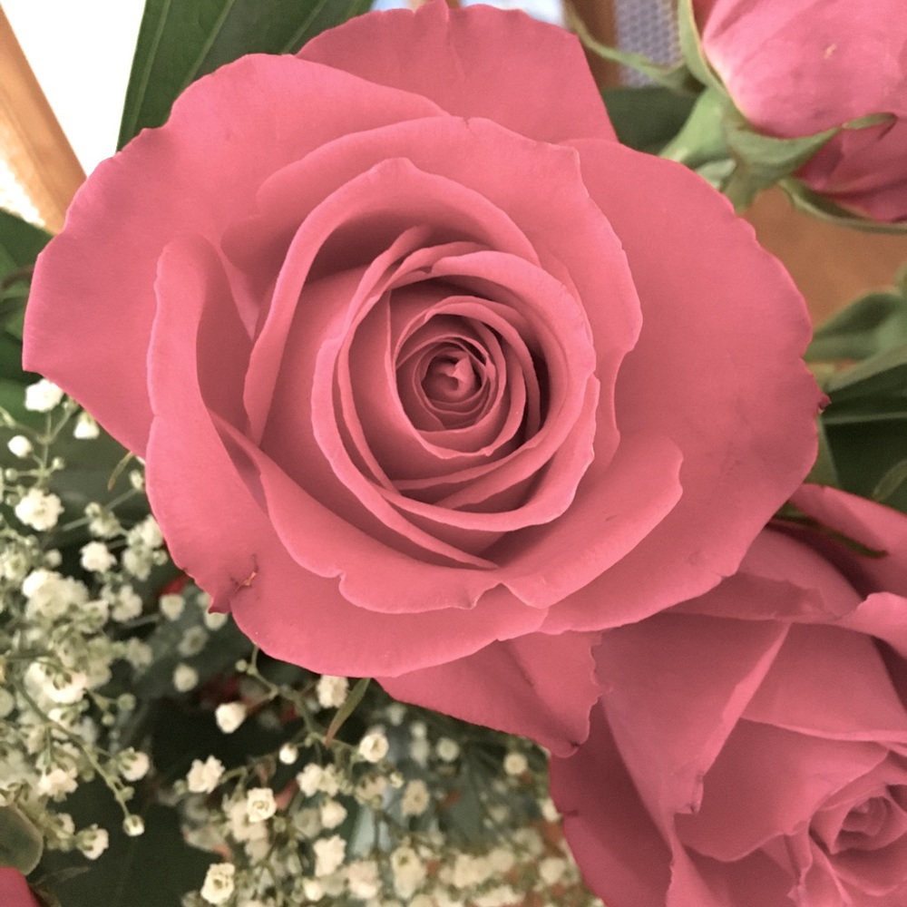 Meet your Posher, Savannah